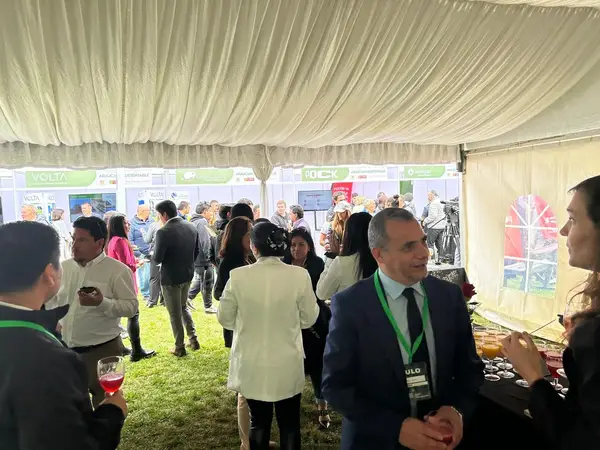 Montaje de carpa modular alemana — Carpas Vargas