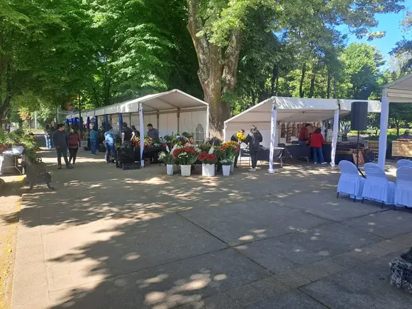 Stand para feria comercial — Carpas Vargas Concepción